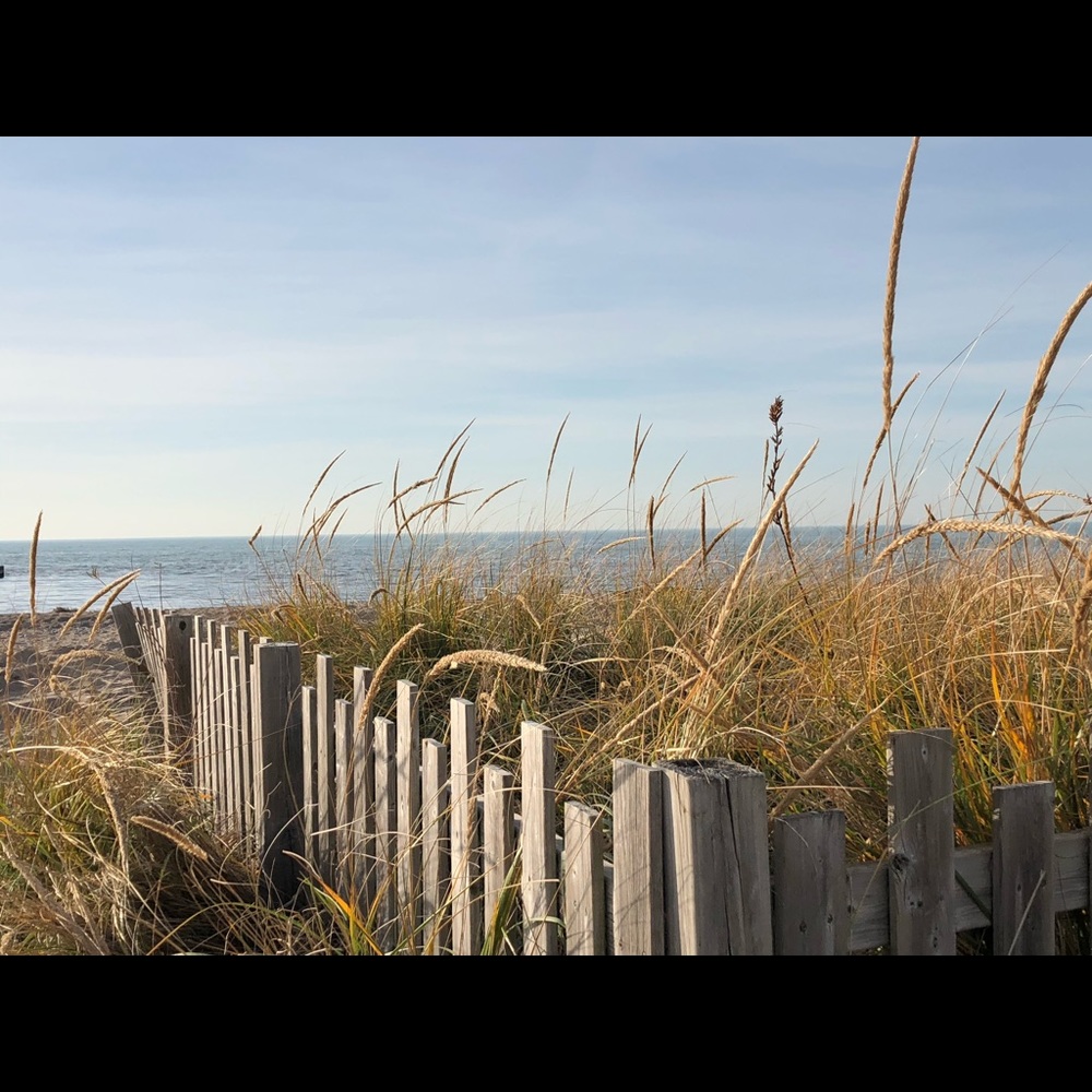 Meet your Posher, Sheri